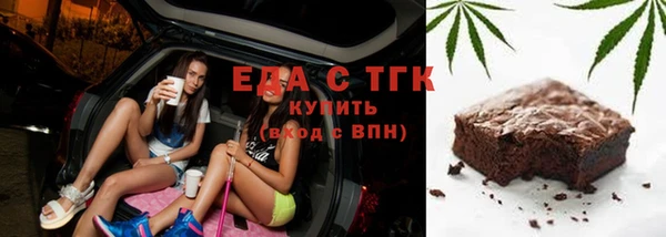 шишки Гусь-Хрустальный