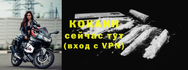 бошки Дмитров