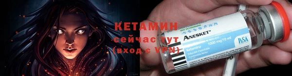 бошки Дмитров