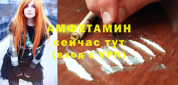 шишки Гусь-Хрустальный