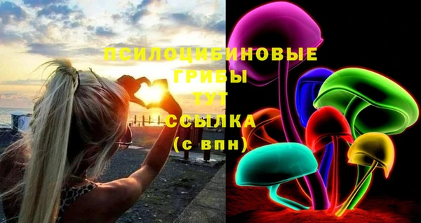 mdpv Дмитриев