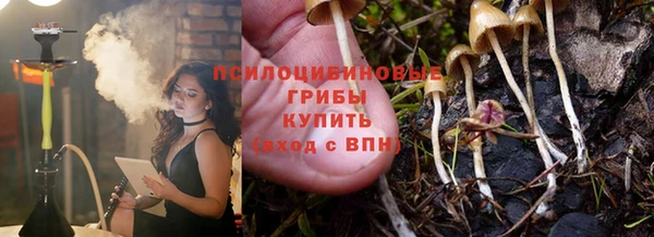 mdpv Дмитриев