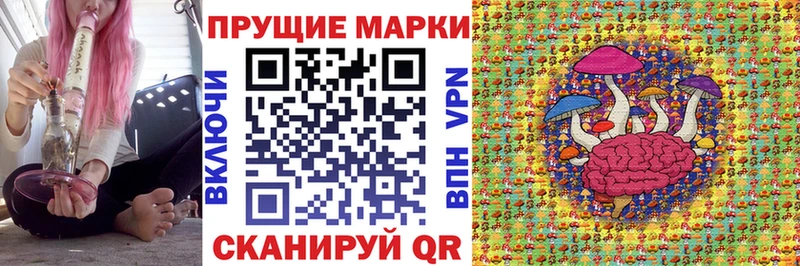 что такое   Жиздра  Марки N-bome 1500мкг 
