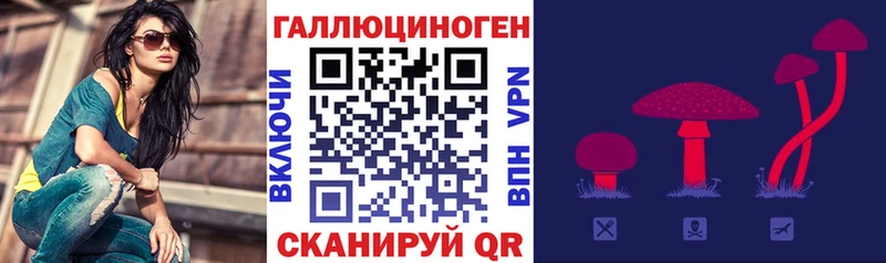 как найти закладки  Жиздра  мега рабочий сайт  Галлюциногенные грибы мицелий 